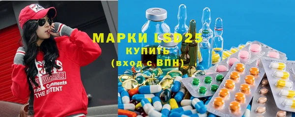 PSILOCYBIN Алзамай