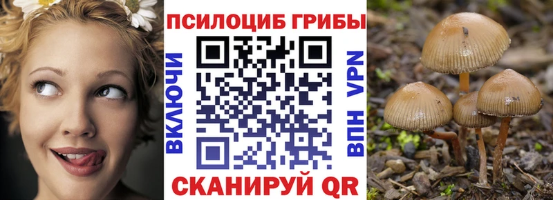 Псилоцибиновые грибы MAGIC MUSHROOMS закладки Далматово
