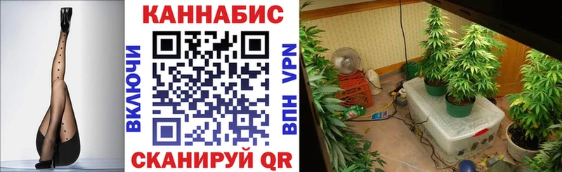 МАРИХУАНА THC 21% Далматово